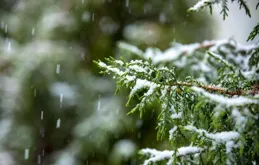 「寒不寒，就看春分」，20日春分，有何預兆？今春會有倒春寒嗎？