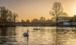 立春：7位詩人筆下的春天，寫盡人間永珍