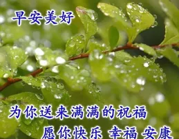 最新二月十五早安祝福漂亮圖片28張，願你新的一天，一切順遂如意