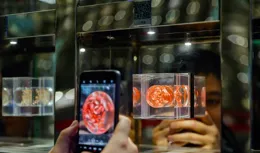 種業建設助推「中國西部菜都」發展