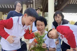 春日「植」趣，非遺嶺南盆景科普在廣州荔灣增埗公園舉行
