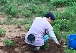 開懷大笑，30張搞笑動圖：穿這身點餐，是老板給的多吧？