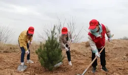 全球森林資源增長最快的國家：每天種出兩個紐約中央公園