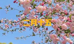 十五做四事，不富也安康」，明日二月十五，哪四事？