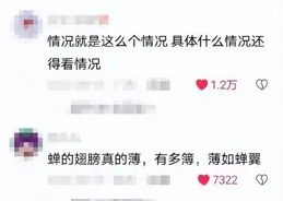 被廢話文學暴擊的一天：一堆廢話，卻很有道理