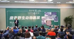 「站樁+義診」守護生命之源