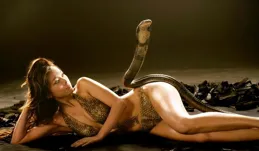 她是史上身材最辣港姐，曾讓金庸動心，如今復出，胖到全網不敢認