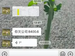 我打工的下場 | 冷段子3167 & 去年今日2814
