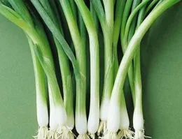 告別高糖油！溫養不燥的東方點心，脾弱胃弱的更要吃