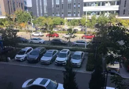 雙魚座vs處女座，3月誰的運勢更上一層樓？