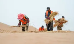 內蒙古吹響春季防沙治沙沖鋒號