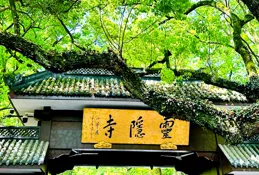 8小時特種兵遊杭州！窮學生親測798元逛吃保姆級攻略