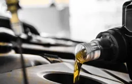 機油C5和SP哪個好？汽修工說出大實話：這3種人千萬別選錯！