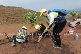 100組家庭參加！就在龜山公園這個種植基地