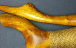 柘樹人稱帝王木，給黃袍染色，可制作硬木弓，樹葉養蠶，果實可吃