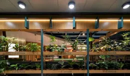 Frame先發丨ATELIER XU：THE WOODS北京僑福芳草地店——綠野仙蹤