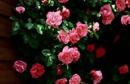 男人給你如此感覺，是在提醒你：斷聯