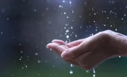 那些沈寂的事物，也有動聽的聲音