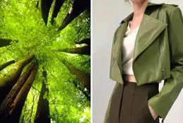 請問有沒有服裝顏色搭配萬能公式？哪幾種顏色配在一起舒服？