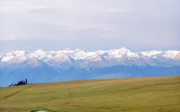 新疆農田插上數位翅膀