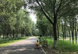 北京：走進公園 踏青賞花