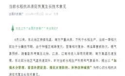 科普一下丨水稻遭遇低溫天氣後該如何處理？