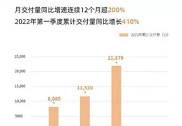 零跑坐上銷量火箭，但隱憂在哪？