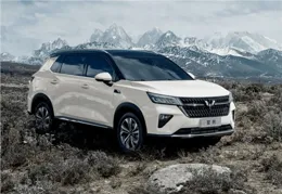 備受期待的坦克400，上市後就不香了？