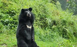 小時候能有多熊？網友：人甚至沒法共情小時候的自己