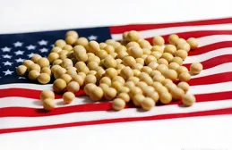 白宮突加稅 145%！全球貿易秩序大亂，這場絞殺戰沒有贏家