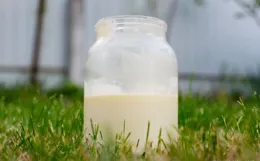 喝全脂牛奶容易長胖？原來一直都錯了！正確喝牛奶應該這樣做→