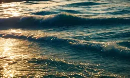 豬年第一個月過去了，哪些星座重新規劃了人生？