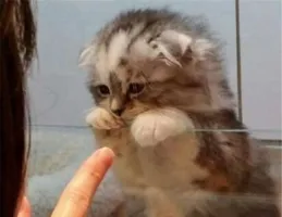 當你進了一家很貴的店時？哈哈哈人不能為了面子傷害錢包！