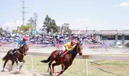 「馬王」誕生！大理三月街民族節賽馬大會落幕