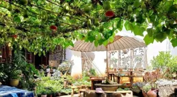 一個人廢掉的最大原因：精神消耗