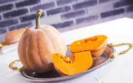 靜寧果農王恩科：蜜本南瓜種子催芽種植指南