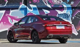 好看的桌布來了