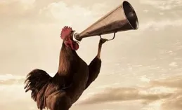 挨罵能算是自媒體的工傷嗎？