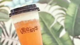 不加盟開奶茶店必虧？六個實用方法：從取名到試營業，一步步教你