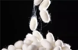 網傳太行山替北京擋住了大風？專家辟謠！