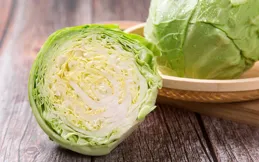 靜寧果農王恩科：包菜會開裂的原因