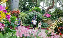 2025上海國際花展：用「百花齊放」取代「一枝獨秀」