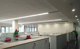 辦公室是新裝修的，甲醛味兒超級濃，要不要離職？