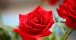 2025年3月水瓶座幸運時間揭秘，雅吉座財運逐漸回升！