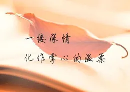 我的後半生：從沒被人愛過的呂原，用錯誤方法真心地愛著自己女兒