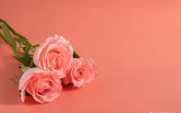 天蠍座和這個星座的愛莫能助：海水尚有涯，相思渺無畔