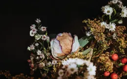 情商沒得說的三個星座女！