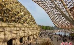 當黃昏戀變成「資源置換戰」：撕開【我的後半生】的浪漫假面