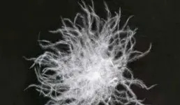 羽絨被可以抽真空嗎？