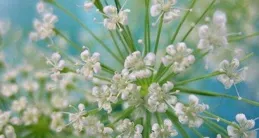 玄學：4月10日-5月1日，鹹魚翻身，逆襲成功的星座，先苦後甜